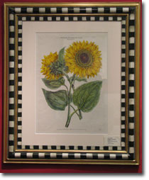 Sunflower 18th century art